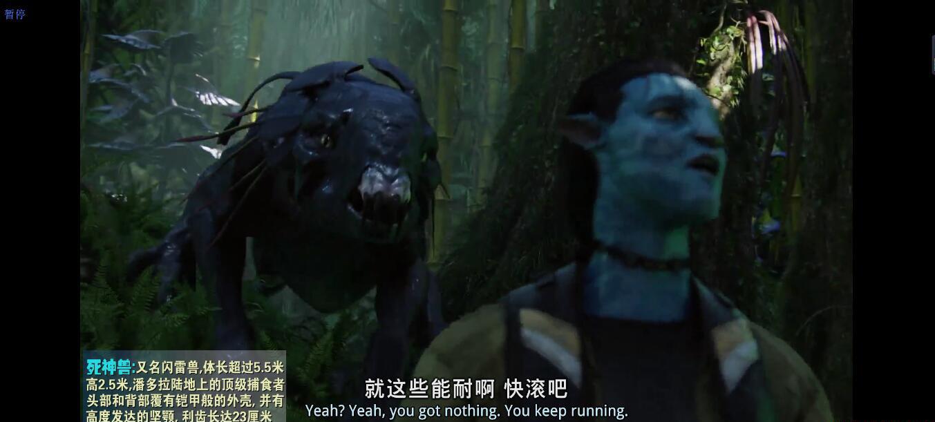 阿凡达08.jpg