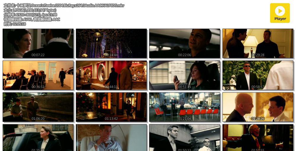 十二罗汉.Ocean's.Twelve.2004.BluRay.x264.3Audio.AAC.HALFCD5.mkv.jpg