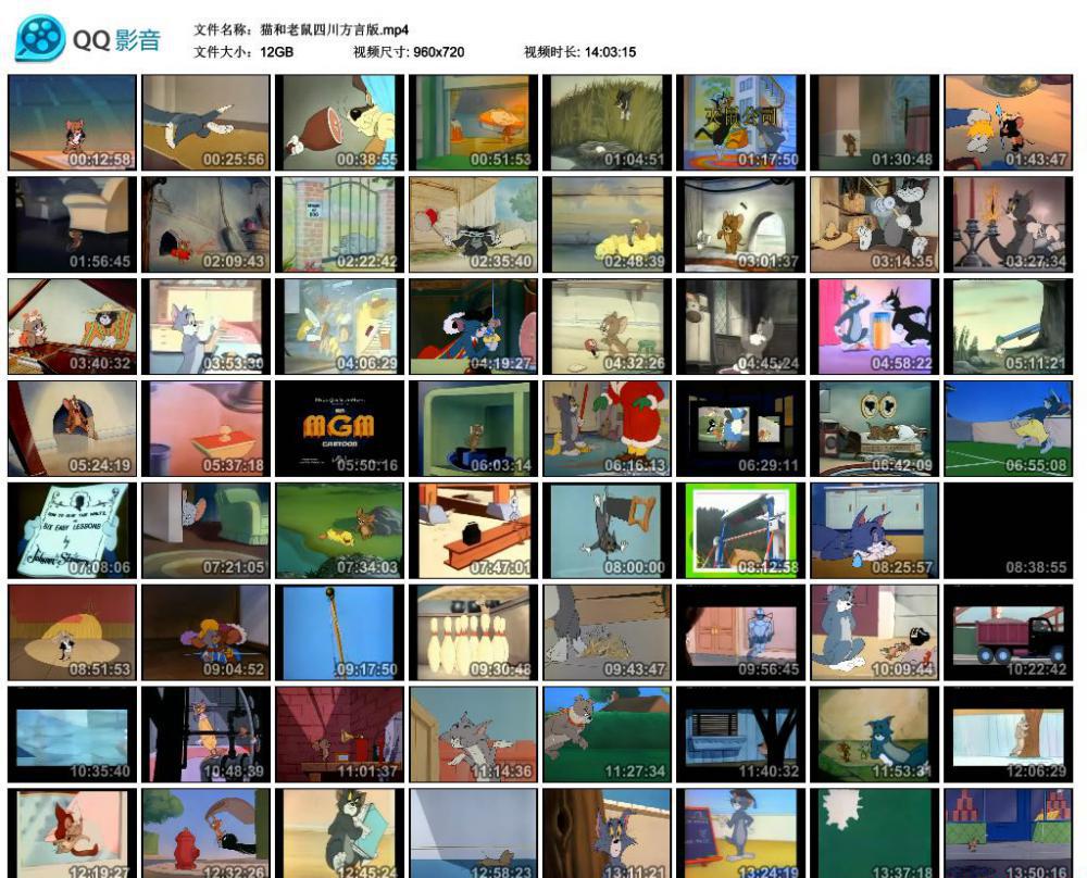 猫和老鼠四川方言版.mp4_thumbs_2020.08.31.15_37_39.jpg