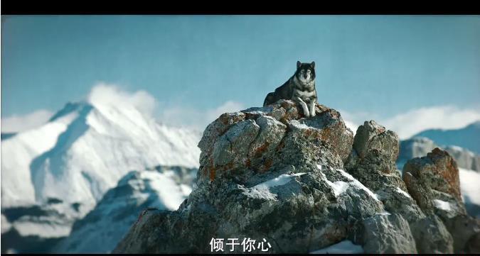 360截图20200907192840321.jpg