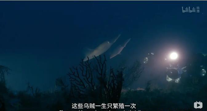 360截图20200928064608501.jpg