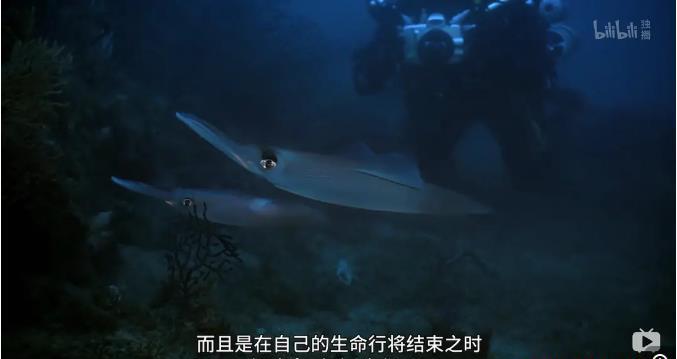 360截图20200928064559149.jpg
