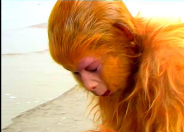 QQ图片20201107195603.png