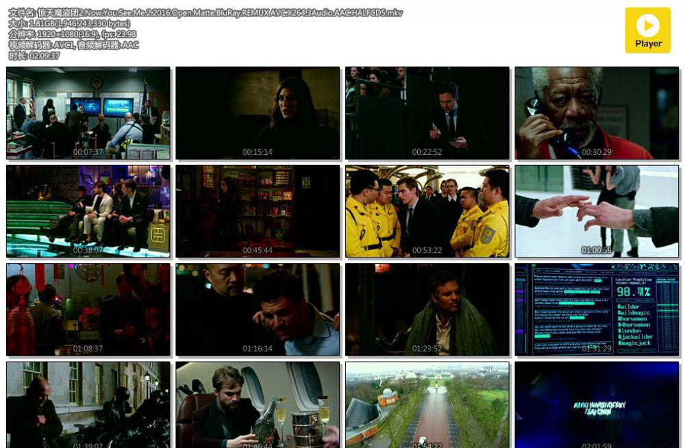 惊天魔盗团2.Now.You.See.Me.2.2016.Open.Matte.BluRay.REMUX.AVC.X264.3Audio.AAC.HALFCD5..jpg