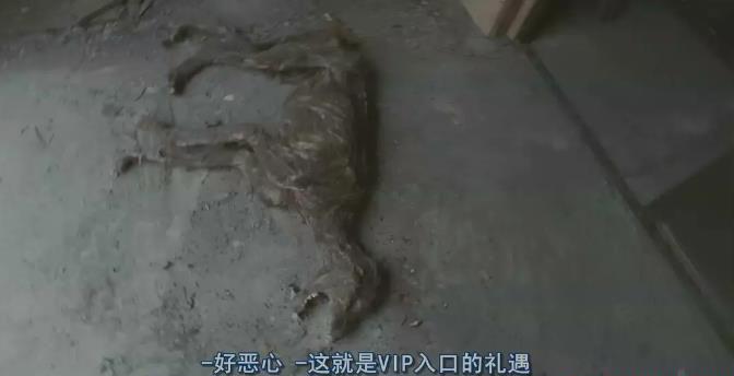 360截图20201114161354629.jpg