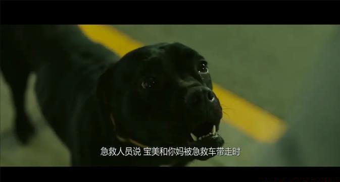 360截图20201114162251773.jpg