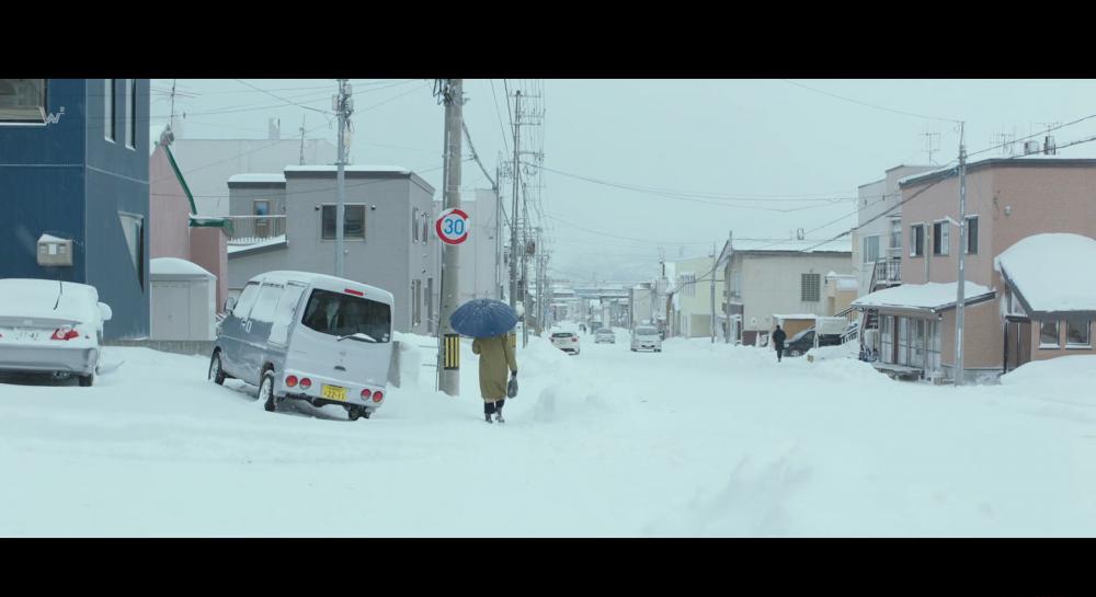 致允熙.Moonlit Winter.1080p.WEBRip.中字简体.弯弯字幕组.mp4_20201120_110622.902.jpg