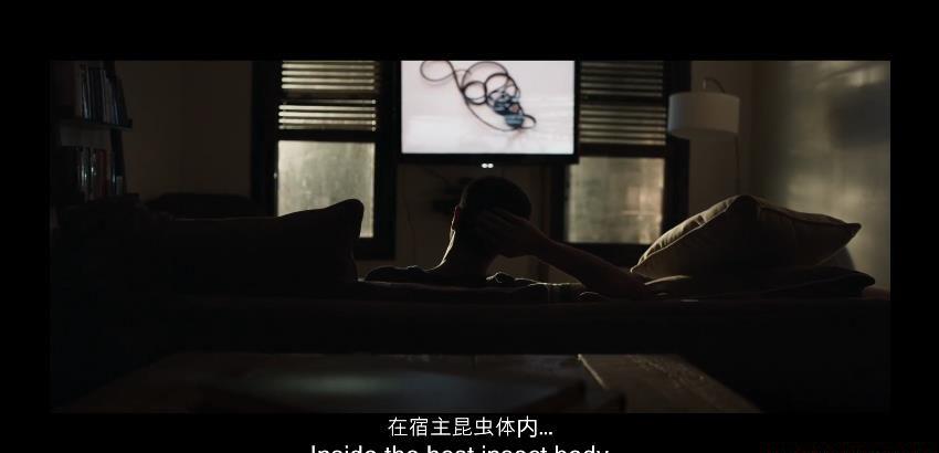 360截图20210102195109554.jpg