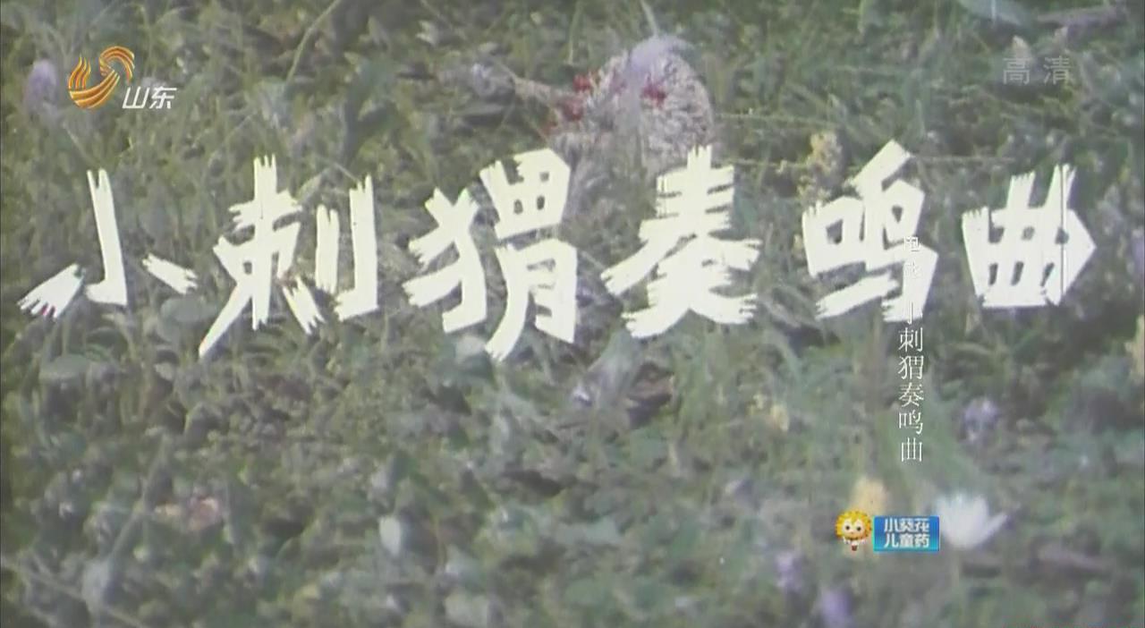 暴风截图2021118358567015.jpg