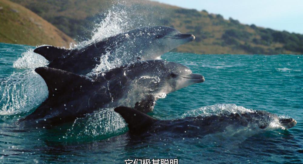 QQ截图20210123170223.jpg