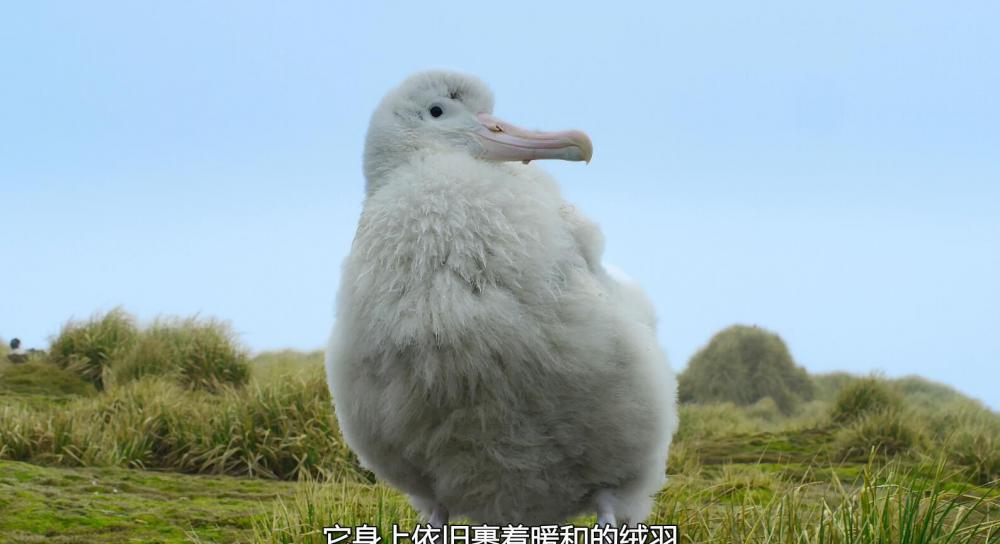 QQ截图20210123170452.jpg