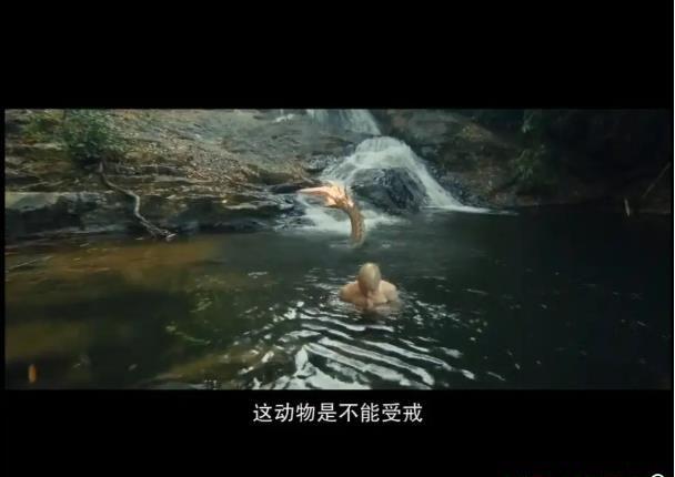 360截图20210125100448651.jpg