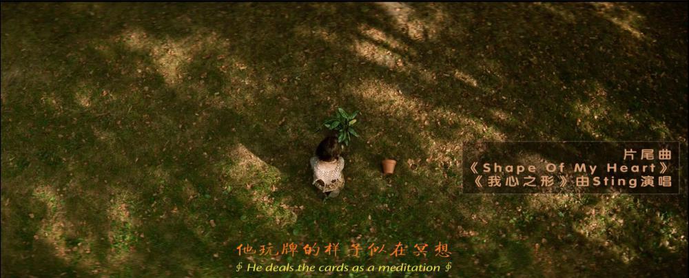 快照43.jpg