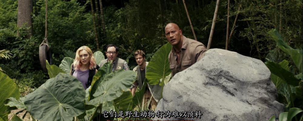 QQ浏览器截图20210205120719.jpg