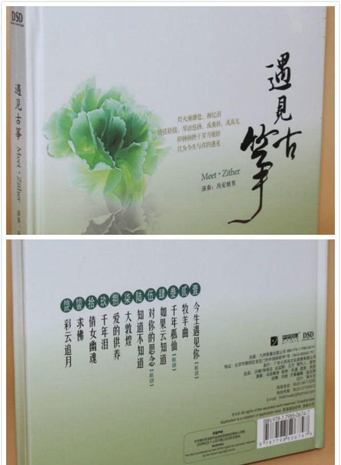 遇见古筝.jpg