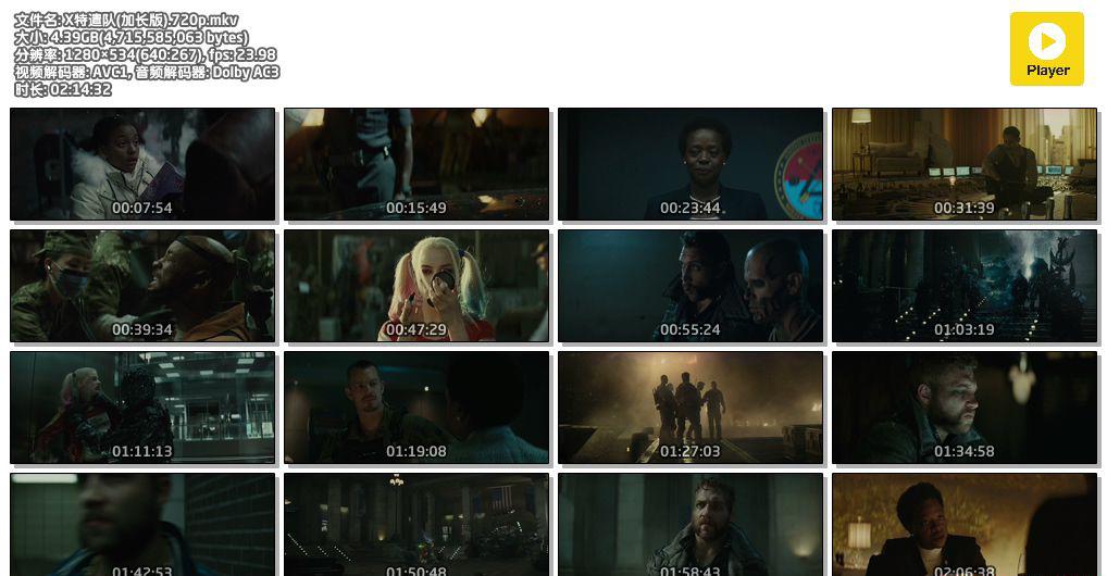 X特遣队(加长版).720p.mkv.jpg
