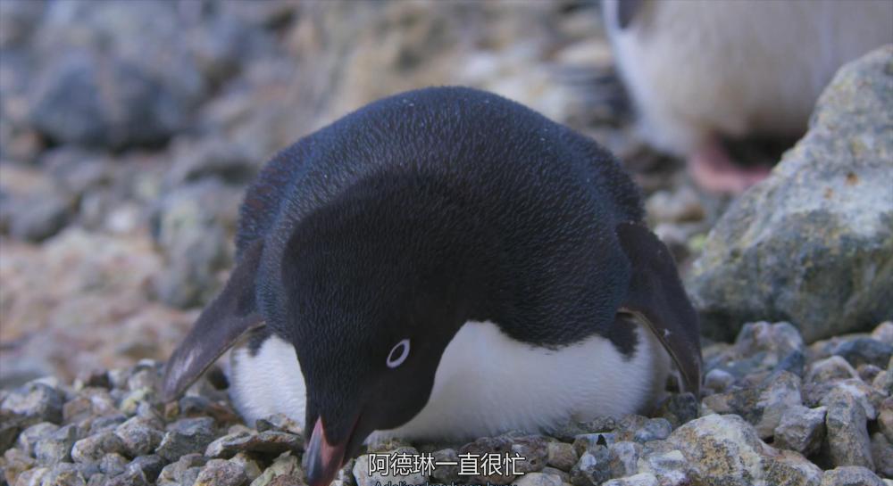 暴风截图20214276914750.jpg