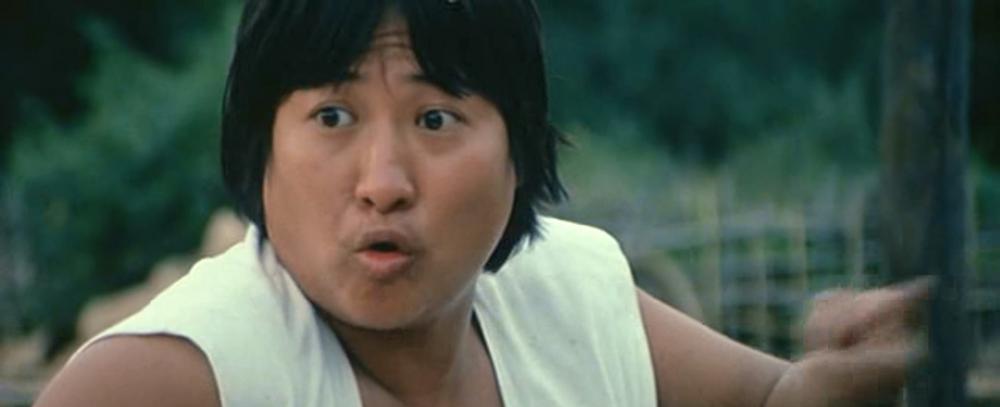 [醒目仔蛊惑招]-[肥龙功夫精].The.Incredible.Kung.Fu.Master.1979.苹果修复版.mkv_20210403.jpg