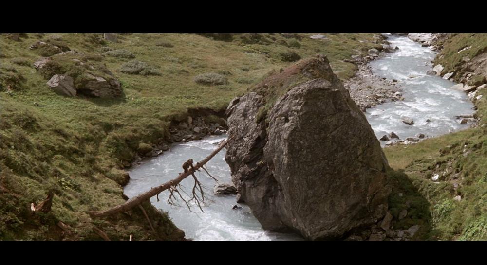 XDGSThe Bear 1988 BluRay REMUX 1080p VC-1 DTS-HD MA 5.1-CHD.mkv_20210407_091548.560.jpg