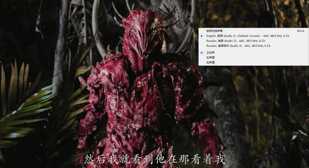 04.jpg