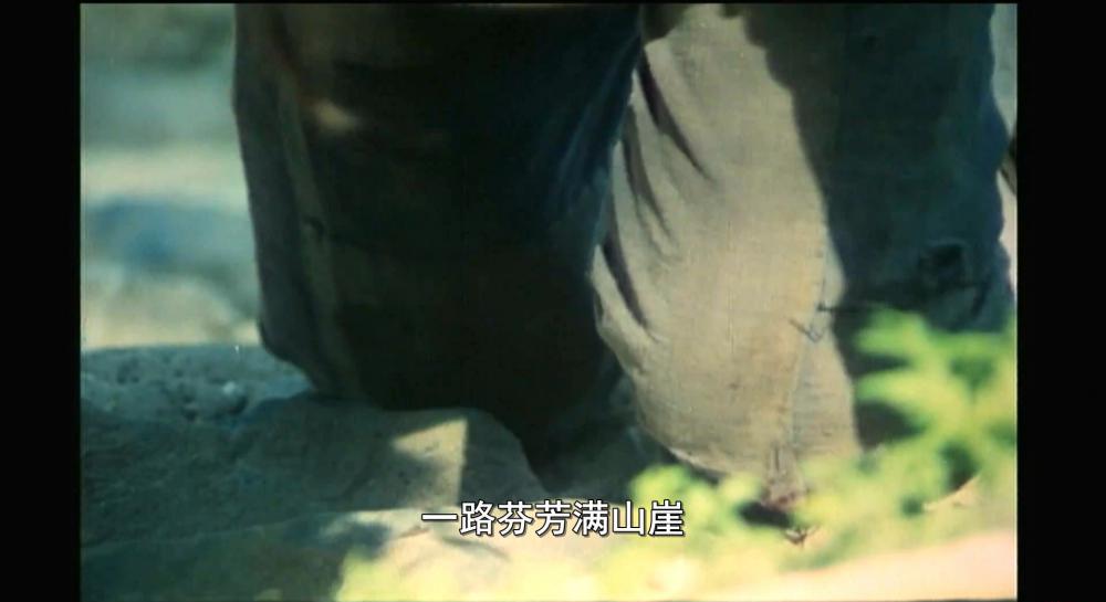 小花.mkv_20210416_212316.712.jpg