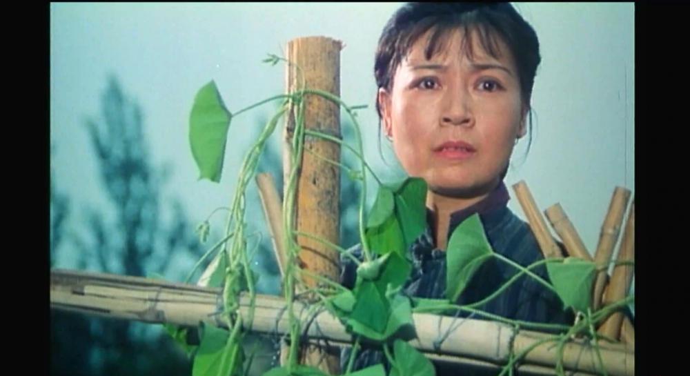 小花.mkv_20210416_213434.406.jpg