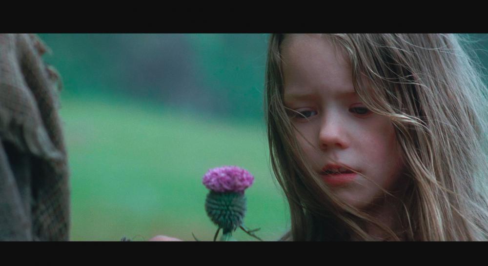 Braveheart.1995.2160p.BluRay.REMUX.HEVC.DTS-HD.MA.TrueHD.7.1.Atmos-FGT.mkv_20210418_11.jpg