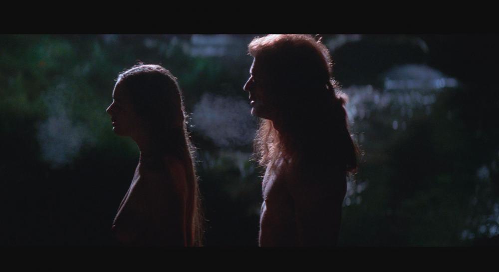 Braveheart.1995.2160p.BluRay.REMUX.HEVC.DTS-HD.MA.TrueHD.7.1.Atmos-FGT.mkv_20210418_11.jpg