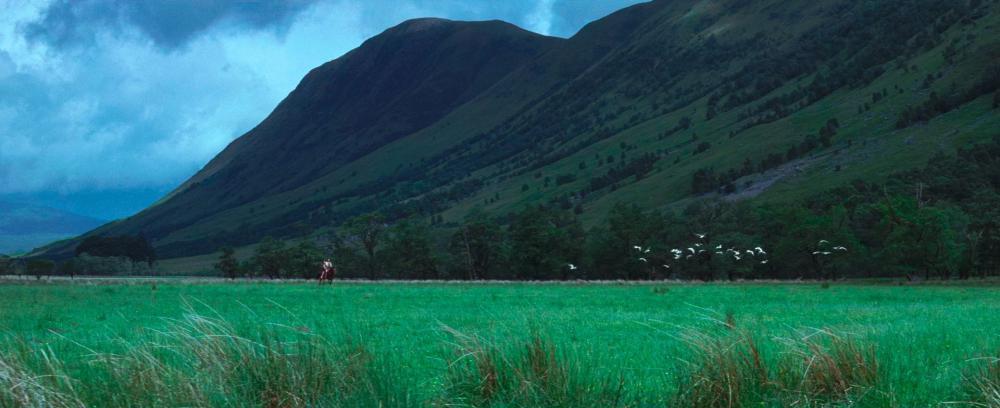 Braveheart.1995.2160p.UHD.BluRay.X265-IAMABLE.mkv_20210418_231823.486.jpg