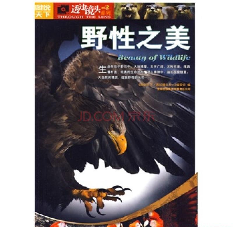 透过镜头系列·野性之美.jpg