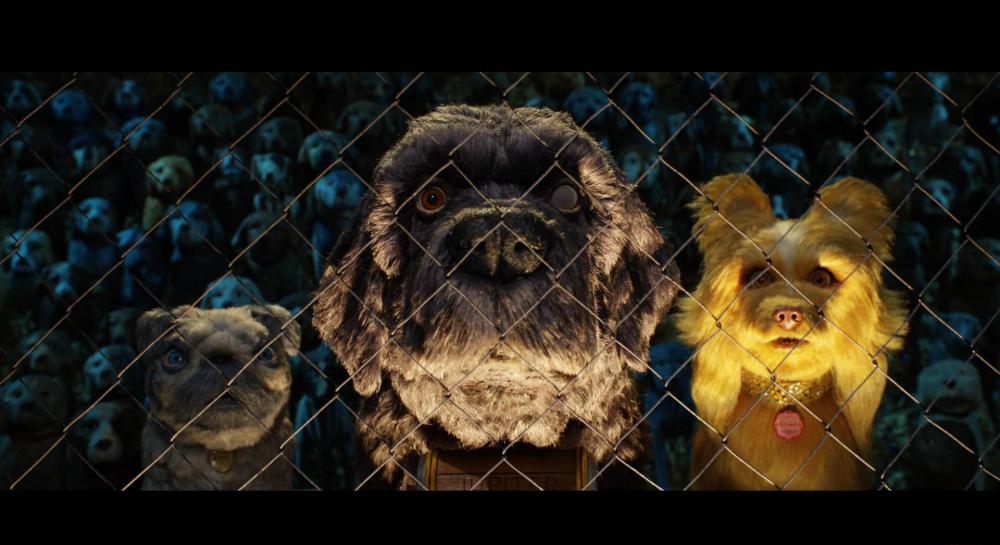 犬之岛.Isle.of.Dogs.2018.BD1080P.X264.DTS.HD.MA.5.1.5Audio.mkv_20210427_144436.164.jpg