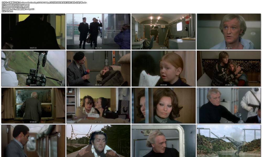 卡桑德拉大桥.The Cassandra Crossing.1976.BD1080p.上译.徐涛.周志强.英语.法语五音轨.中英.jpg