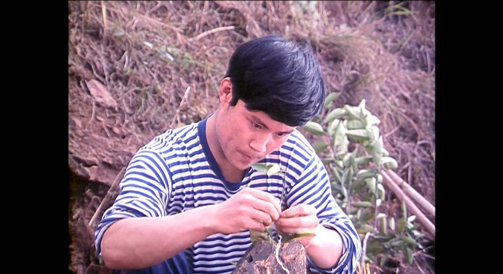被爱情遗忘的角落.mkv_20210502_115346.579.jpg
