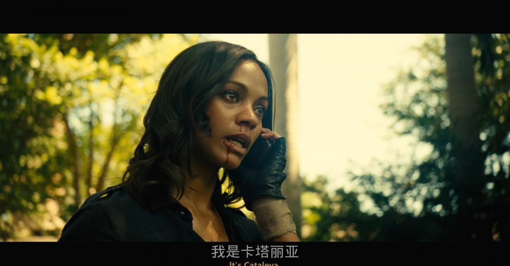 致命黑兰Colombiana.2011.UNRATED.1080p.BluRay.AVC.DTS-HD.MA.5.1-FGT.mkv_20210505_200308.jpg