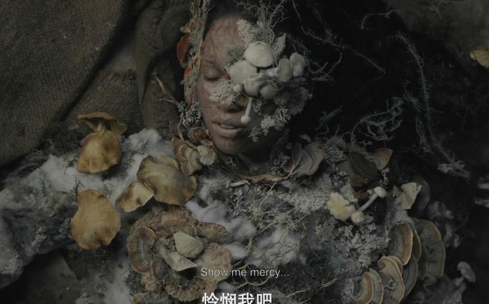 QQ截图20210630111005.jpg
