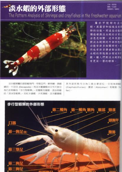 QQ截图20210716173653.png