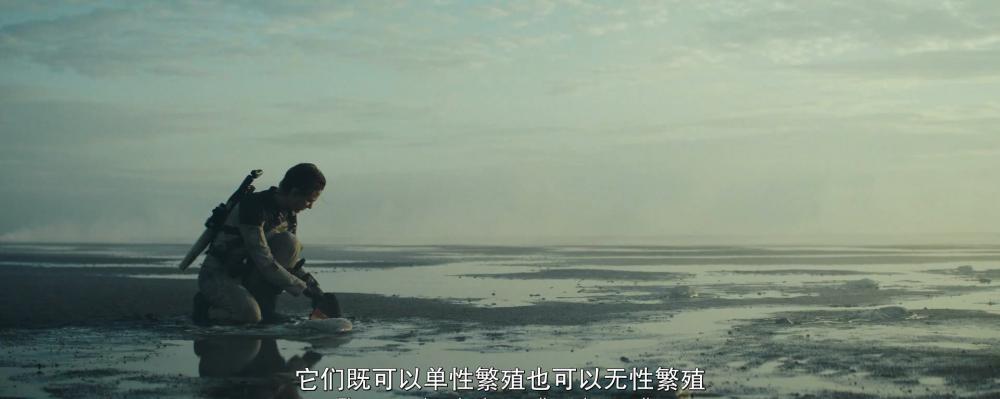 殖民地.The.Colony.2021.HD1080P.中英双字.远鉴.mp4_20210723_151614.822.jpg