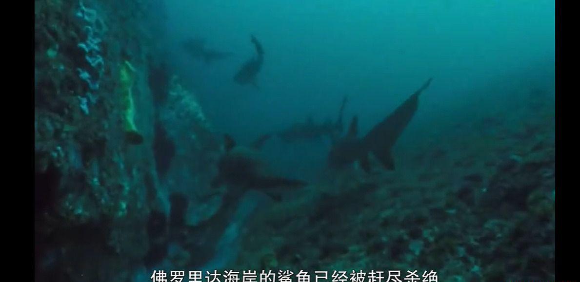 QQ截图20210724011539.jpg