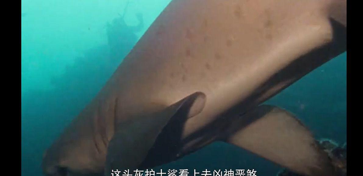 QQ截图20210724011529.jpg