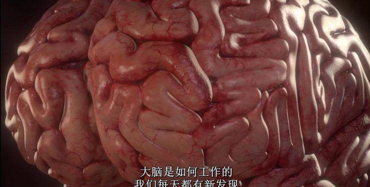QQ截图20210728150152.jpg