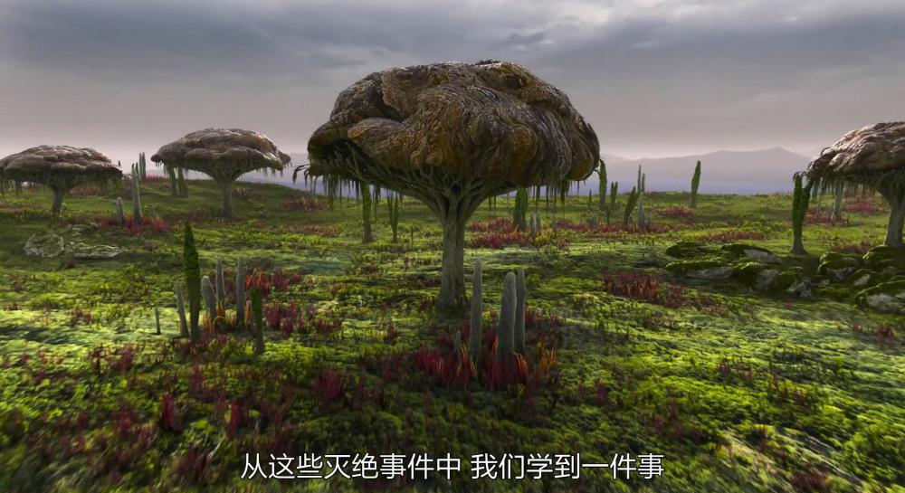 S-神奇的真菌.mp4_20210731_104533.216.jpg
