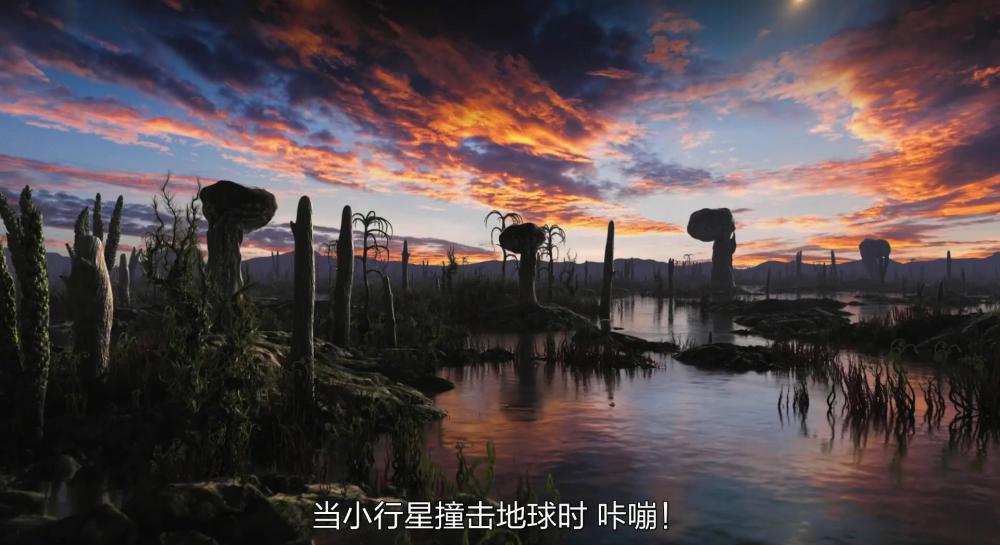 S-神奇的真菌.mp4_20210731_104541.366.jpg