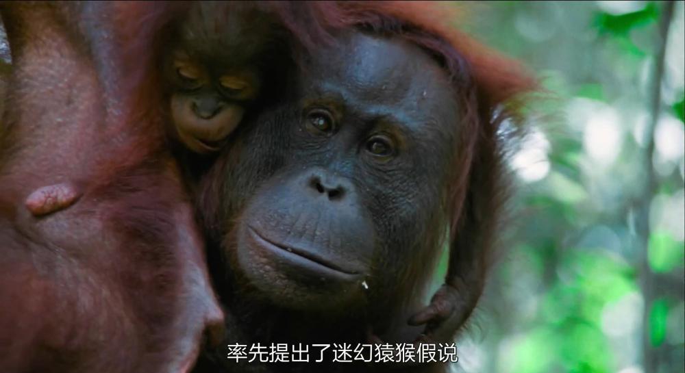S-神奇的真菌.mp4_20210731_104636.487.jpg
