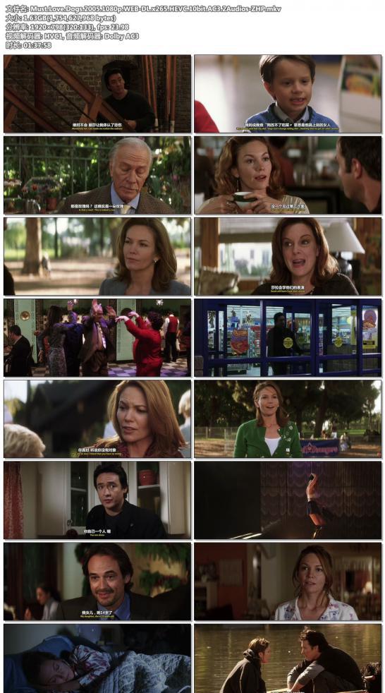 Must.Love.Dogs.2005.1080p.WEB-DL.x265.HEVC.10bit.AC3.2Audios-ZHP.jpg