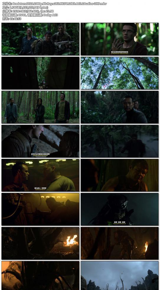 Predators.2010.1080p.BluRay.x265.HEVC.10bit.AC3.2Audios-ZHP.jpg