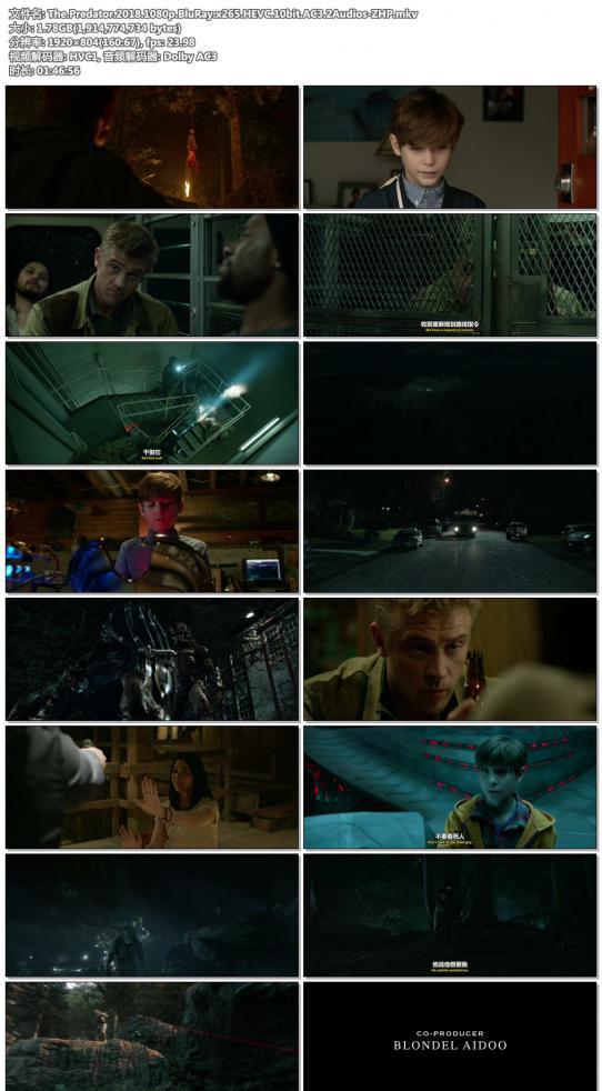 The.Predator.2018.1080p.BluRay.x265.HEVC.10bit.AC3.2Audios-ZHP.jpg