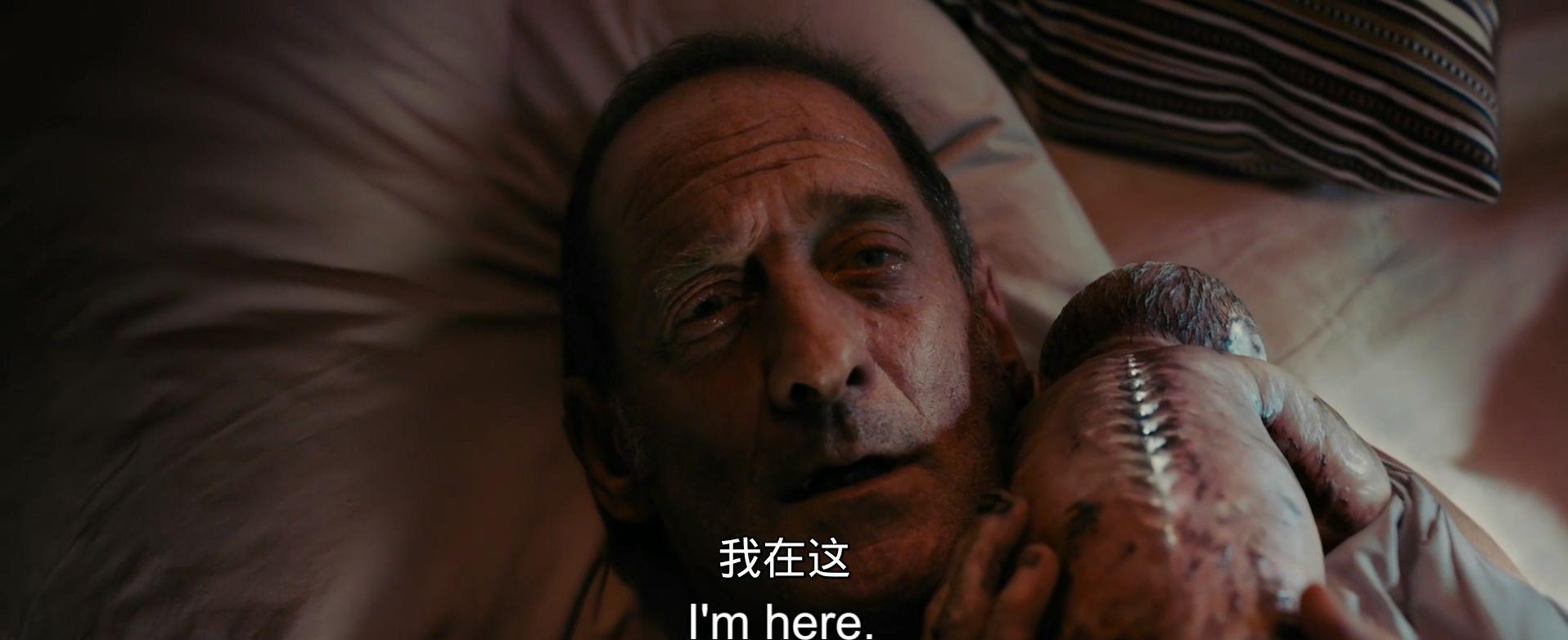 钛.2021.1080P.法语.中英字.mp4_20211020_100357.493.jpg