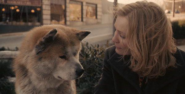 Hachi A Dog's Tale.mkv_20211102_184724.287.jpg