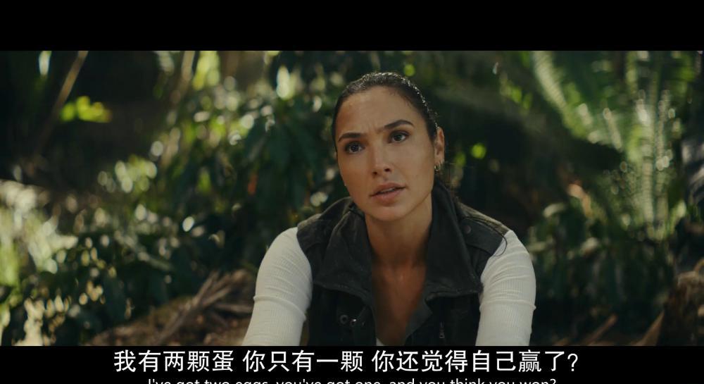 红色通缉令.2021.1080P.英语.中英字.mp4_20211112_172814.416.jpg