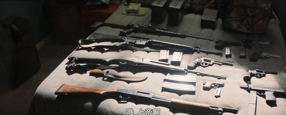 理查德·朱维尔的哀歌（2019美国犯罪传记片 台配中字）豆瓣评分8.2【保罗·沃尔特·豪泽 山.jpg